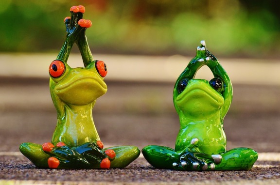 frogs-1030283_960_720